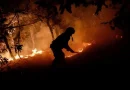 incendio, chile, desastre, sequia