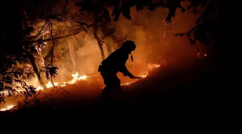 incendio, chile, desastre, sequia