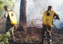 ejercito de nicaragua, sofocación de incendios, nicaragua, waspam, costa caribe norte