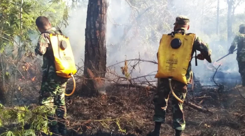 ejercito de nicaragua, sofocación de incendios, nicaragua, waspam, costa caribe norte