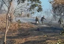 incendio, chiltepe, forestal , mateare