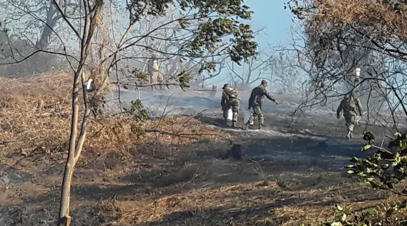 incendio, chiltepe, forestal , mateare