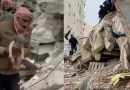terremoto, siria, nacimiento, bebe, insolito
