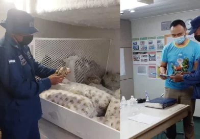 fuerza, naval, nicaragua, ejercito, nicaragua, proteccion, inspeccion, embarcaciones, pesca