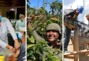 salario, minimo, nicaragua, 2023, acuerdo, comision, nacional, sectores, datos, monto, construccion, industria, comercio, turismo