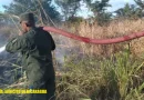 efecitos militares, ejercito de nicaragua, nicaragua, incendios, ejercito