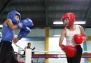 boxeo, academias, alcaldia, managua, campeones pugil