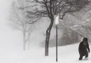 nevada, estados, unidos, muertos, cancelacion, vuelos, alaska