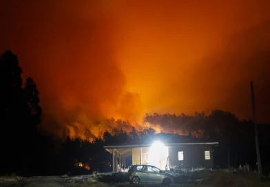 incendio chile, incendio forestal, chile, internacionales, video