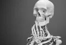 contaminación, aire, contaminado, afecta, frágil, más, huesos, osteoporosis, desarrollar, investigadores, acelerar, afectar, humanos,