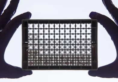 ranitidina, Zantac, ocultando, fabricante, fármaco, cancerígeno, oculta, décadas, pruebas, revelaron, presencia, niveles. excesivos, NDMA, N-nitrosodimetilamina, crear, Glaxo, GSK, británica,