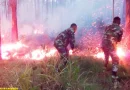 incendio, bosque, ejercito de nicaragua, fuego,