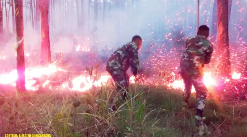 incendio, bosque, ejercito de nicaragua, fuego,