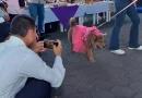masaya, managua, nicarafgu, intur, pasarela, mascotas, verano, cultura, tradicion de masaya, masaya, familias,