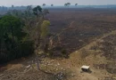 clima, cambio, climatico, lluvias, despale, deforestacion