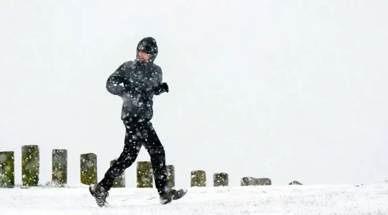 tormenta, nieve , cancelacion, vuelos, aeropuerto, escuelas, cerradas