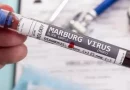 virus, Marburgo, guinea, ecuatorial, enfermedad, oms