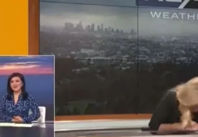 presentadora, clima, desmayo, video, estados unidos
