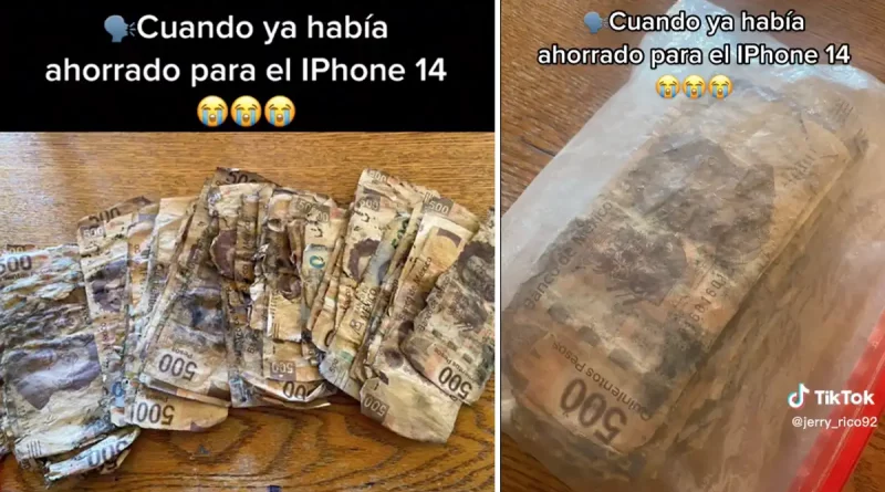 dinero, billetes, escondió, desenterrarlos, arruinados, ahorros, hombre, pareja, sacarlos, comprarle, iPhone, México, TikTok,