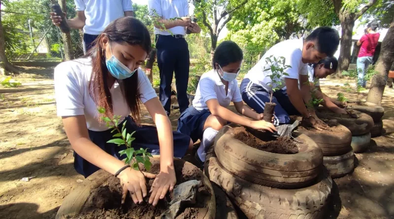 fes, juventud sandinista, managua, reforestacion, arboles, managua, plantas, cruzada nacional de alfabetizacion, manahgua, nicaragua