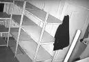 guarda de seguridad, video vigilancia, caja fuerte,