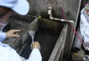 minsa, barrio grenada, abate, lucha antiepidemica,