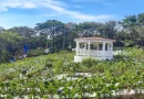 parque, mil flores, crucero, managua