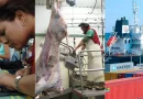 sistema, produccion, consumo, comercio, nicaragua, zona franca