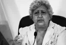 consejo, supremo, electoral, nicaragua, Tibisay Lucena, nota, prensa