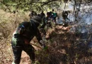 ejército, nicaragua, incendio, forestal, matagalpa