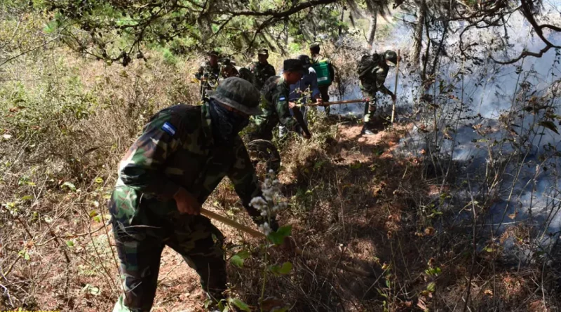 ejército, nicaragua, incendio, forestal, matagalpa