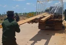 ejército, nicaragua, caribe, norte, madera, ilegal