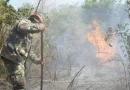 incendios forestales, nicaragua, ejército de nicaragua, control de incendios