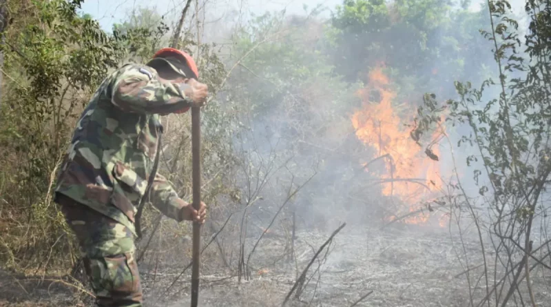 incendios forestales, nicaragua, ejército de nicaragua, control de incendios