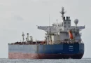 exportaciones, petroleo, rusia, china, india