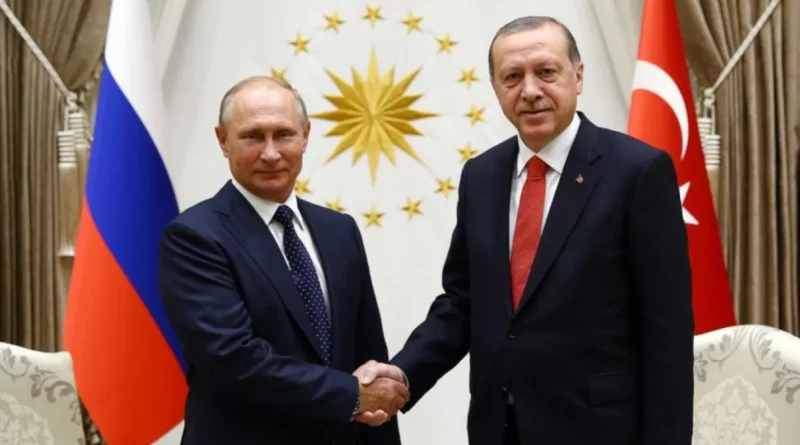 putin, erdogan, combustible, central nuclear, turquia, rusia