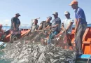 nicaragua, sector pesca, managua, nicaraghua, ecoomia, dinamismo en nicaragua