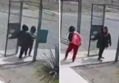 mexica, robo de un bebe, mama frustrada, robo de un bebe,