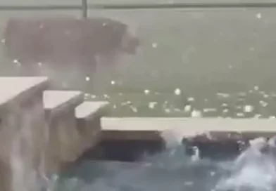 Florida, Texas, Estados, Unidos, granizo, gigante, EEUU, tormenta, destructivo, testigos, golpea,