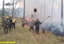 incendio forestal, nicaragua, ejercito de nicaragua, costa caribe norte,