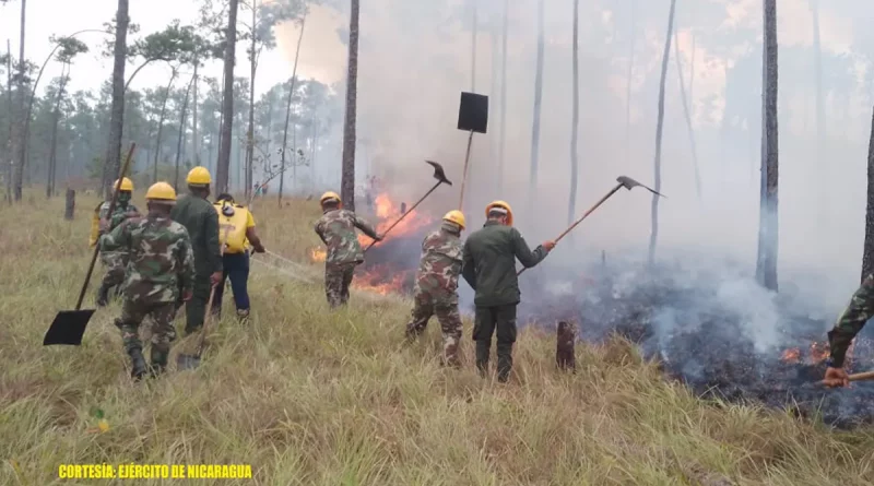 incendio forestal, nicaragua, ejercito de nicaragua, costa caribe norte,