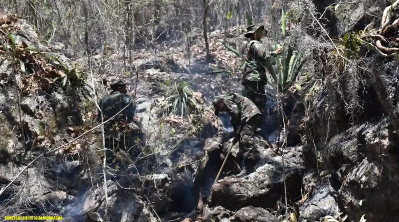 incendio forestal, matagalpa, nicaragua, ejercito de nicaragua,