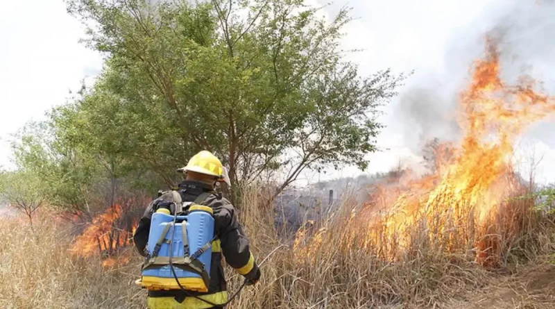 incendios, nicaragua, puntos de calor, bomberos, semana santa, abril