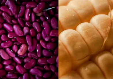 frijol, maiz, produccion, agricola, nicaragua, ciclo, quintales, perspectivas