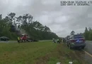 estados unidos, accidente de transito, georgia,