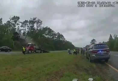 estados unidos, accidente de transito, georgia,