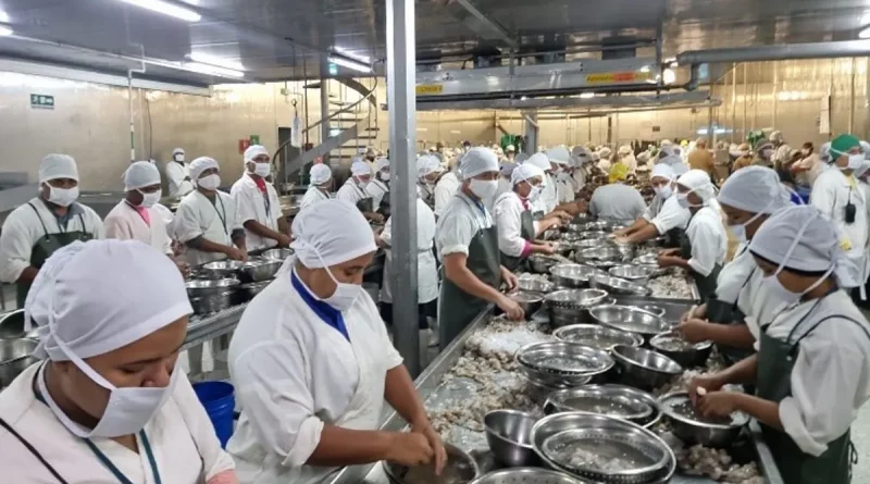 langostino de nicaragua, empresa camaronera, chinandega, condiciones laborales, ministerio del trabajo,