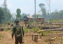 ejercito de nicaragua, marena, nicaragua, recursos forestales, bosawas, incendio, efectivos militares, acompañamiento