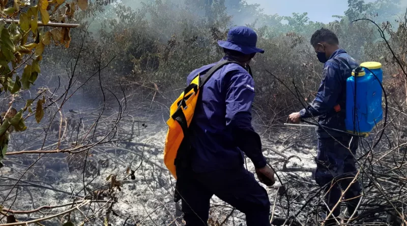 incendio, corn island, ejército, nicaragua, sofocacion