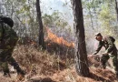 ejercito de nicaragua, incendios forestales, ejercito, nicaragua, matagalpa, el horno